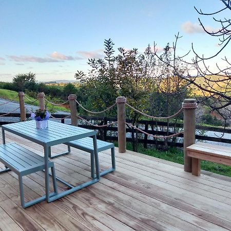 فيلا Secluded, Private Rural Retreat Mins From Warkworth -"Avondale" Minihouse المظهر الخارجي الصورة